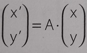 Matrizes e Determinantes