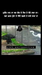 ☬ #Punjab #sikh #sikhsovereignty #Punjab | SIKH BEARD