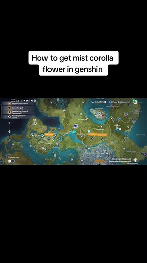 How to get mist corolla flower in genshin