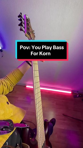 Pov: You Play Bass for Korn