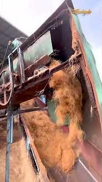 Coconut Coir Manufacturing From Scratch | Full Process