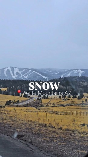 Snow forecasted all night and all day tomorrow in the higher elevations of the White Mountains of AZ. We got some already and we can't wait to see the mountains cover in powdery white magic soon! #visitpinetoplakeside #sunriseskipark #greeraz #visitarizona #whitemountainsaz #azblogger #snowday #arizonatravel #easternarizona #arizona | Visit Pinetop-Lakeside, AZ