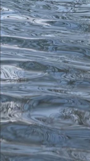 Fashion Abstract Lo-Fi Chill Music | Background Royalty Free Beats | Calm Beat by Newsense Studio