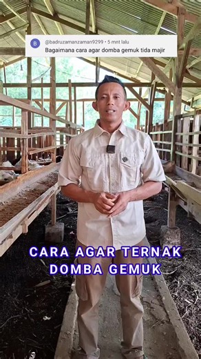2.4K views · 78 reactions | cara supaya ternak domba cepat gemuk dan tidak majer | Ternak Tani Jaya | Facebook