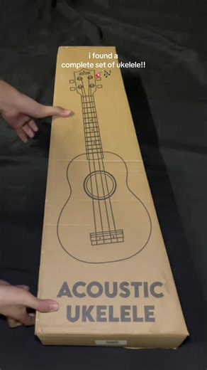 Complete Ukulele Set from Rixton Music: All You Need