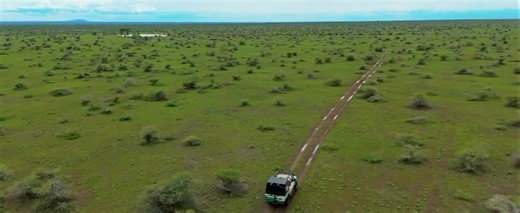 Experience the miracle of life in Ndutu! 🦓🐃 Join us for a once-in-a-lifetime safari during calving season, where thousands of wildebeest calves are born across the Ndutu plains. Witness predators like lions and cheetahs in action, stunning sunsets over the savannah, and unforgettable wildlife encounters. Perfect for photographers, adventurers, and nature lovers! 🌅✨. Book your Ndutu Calving Safari today! 📲 WhatsApp: https://wa.me/255744391567 | ✉️ Email: meilleurtours@gmail.com #NdutuSafari #