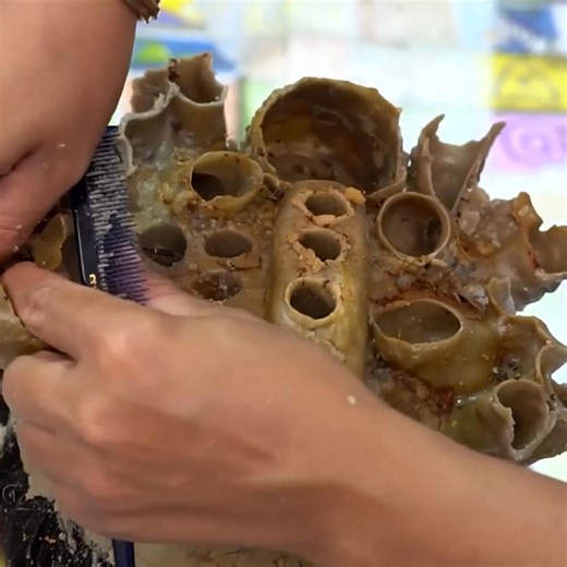 Update New!!! Satisfaction and combing of wormhole on the scalp Part 13 | Help remove ticks | Facebook