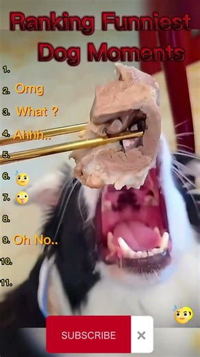 Funny Animals Fails 2026 [#tranding #PetFails][ #ViralAnimals][#shots]