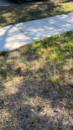 TANDUM on Instagram: "Yay the Lexus runs again!!! Alternator from @apremiumcom Use code: Tandum for \u0015 off"