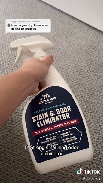 How to Stop Your Rabbit from Peeing | Bunny Spraying Prevention Tips