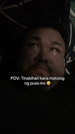 Ang Pagsasama ng Pusa sa Pagtulog