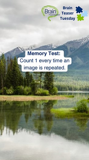 Happy Brain Teaser Tuesday! Today’s teaser will test your visual memory. It’s trickier than you think 🤔 Count how many times you see a photo repeat. Let us know how many repeats you think there are below 👇 #brainteaser #brainteasertuesday #brainfoundation #puzzle #visualmemory | Brain Foundation