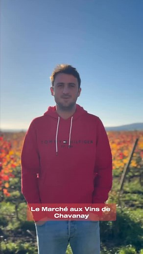 Les vignerons ont un message pour vous… 🍷✨ Rendez-vous au Marché aux Vins de Chavanay du 12 au 15 décembre pour pouvoir les rencontrer ! | Marche Aux Vins De Chavanay