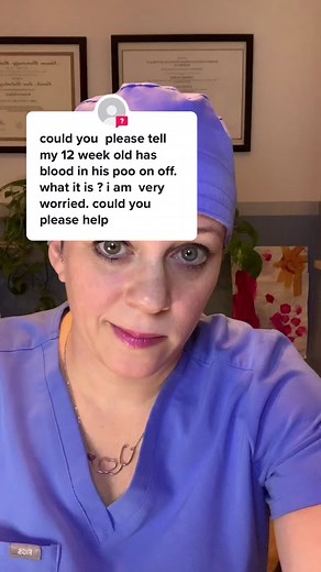 Understanding Blood in Poop: Causes and Concerns