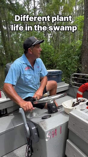 Whats your favorite plant in the swamp? #cajunencounters #louisiana #captainzander #swamptours #swamplife