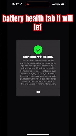 How to Check Tesla Battery Health in 30 Seconds! 💡 #EVtips