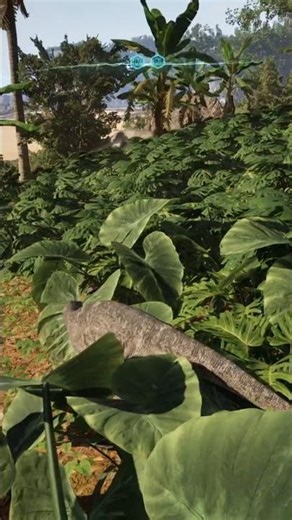 A Kill Is Coming — The Isle