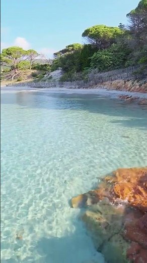 🌊 Paradise found on the stunning beaches of Corsica Crystal clear turquoise waters