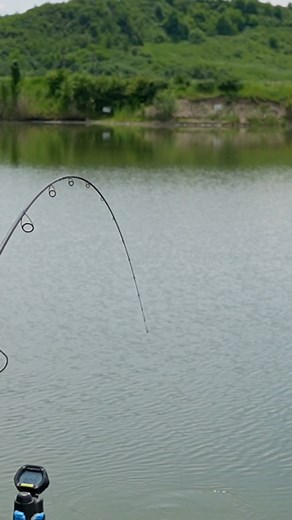 Daniel Santa Fishing on Reels