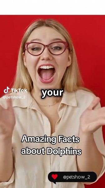 Amazing things to know about Dolphins🐬 #animalfacts #thingstoknow #fish #most #following #famous #river #water #ocean #education #knowledge #animal #dolphin #dolphins #a #b #c #d #e #explore #i #love ❤