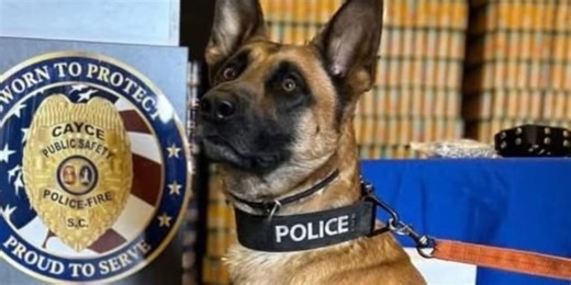 3 teens and a mother charged in connection to police K-9’s shooting death