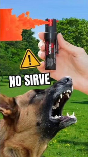 ¿Sirve el Gel Pimienta contra Perros? #shortsfeed #short #curiosidades