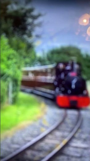 Zootopia steam train