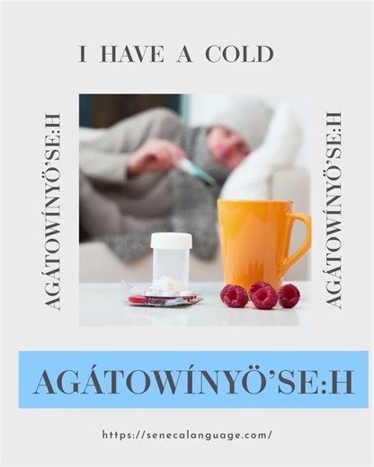 Learn Seneca Language - Word of the Day