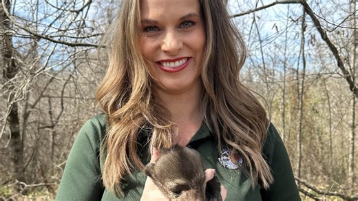 MDWFP appoints first female wildlife bureau chief, others take new roles
