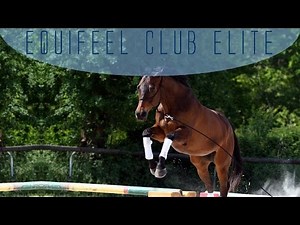 Equifeel Club Elite