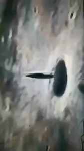 119K views · 1.1K reactions | Is the Moon an Alien Base!? | The Ancient Scientist | Facebook