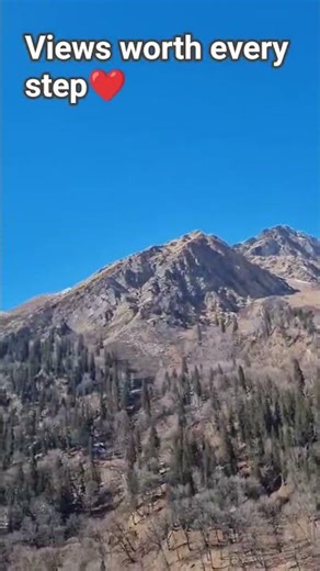 Manali hills #shorts #trending #travel #mountains #manali #hills #view