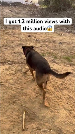 I got 1.2 million views with this audio try yours #shorts