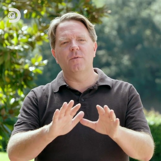 Buried under years of hoarding…a $60,000 marble collection! 🤯💰 #FilthyFortunes | Discovery Channel UK
