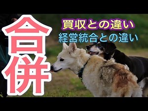 合併とは何か？わかりやすく解説