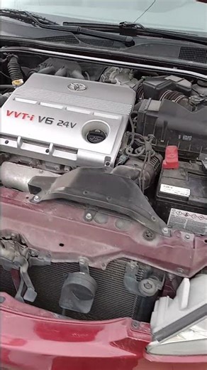Typical Toyota Camry, sitting for 7 months. Install battery, do all the regular checks and start it!