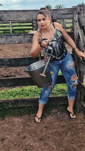 New dairy farm vlog | cow milking by hand part 1 | Tatiane Dairy Farm | #farming #viral #shortsfeed