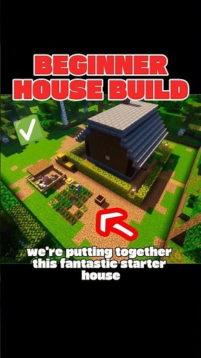 Building in Survival ❌️ Building with Commands ✅️ #minecraft 1.21.10