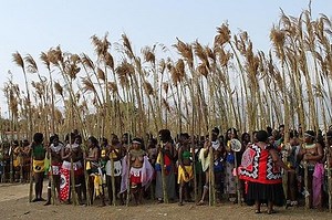 VIDEO: The Reed Dance explained