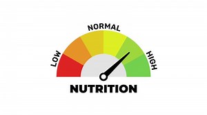 Animated Nutrition Level Gauge Indicator, Health and Diet Meter Scale Animation
