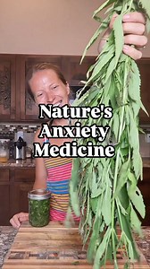 Blue vervain (Verbena hastata) is a powerful nervine—used for centuries to ease anxiety, calm racing thoughts, relax tension (especially in the neck & shoulders), and support mood balance. Perfect for perfectionists, overthinkers, and the chronically wired. I use tinctures of this plant for my anxiety and it's one of my favorite herbs to help me relax and calm down my hyper mind. Here is a recipe to make a folk style blue vervain tincture. ✨ Tincture Recipe: Fill a jar ½–¾ full with dried blue v