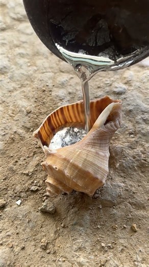 Casting Nature's Fury: Snail Shell Planter for 2025 #shorts #viralvideo #reels #restoration