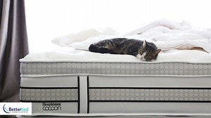Here’s Why You Should Try A SleepMaker Cocoon Mattress