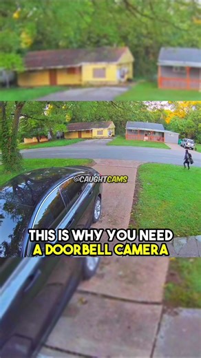 Man's Encounter with Dog Caught on Doorbell Camera