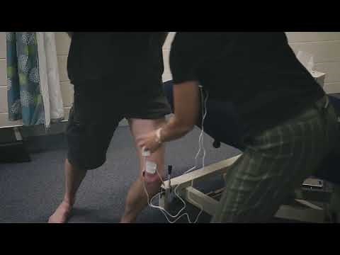 Read your EMG Using MyoPlus 2 - High Performance Physiotherapy