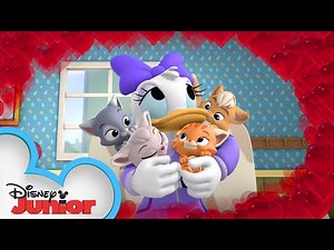 Happy Helpers Babysit Kittens 🐱| Mickey Mouse Mixed-Up Adventures | ‪@disneyjr‬