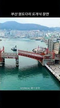 부산 영도다리 도개식장면 드론영상 #shorts#Busan#korea#bridge#부산여행#영도#자갈치