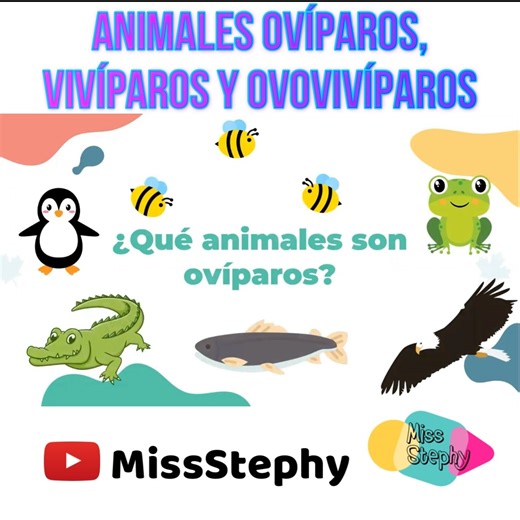 Animales ovíparos, vivíparos y ovovivíparos 🐯🐸🐠 | ¿Cómo nacen los animales? 🤔🤓 Aprende las diferencias entre los animales ovíparos, vivíparos y ovovivíparos. | Miss Stephy