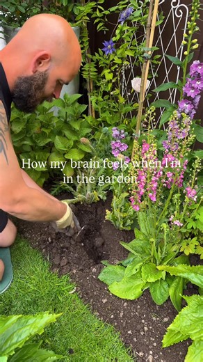 The garden really does work wonders on my brain 💝 #garden #gardening | man_about_gardening