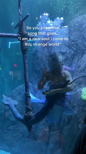 A moment I will cherish forever 🫶 | Mermaid Sirenity